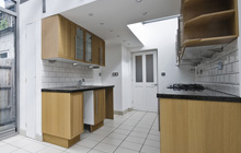 Dungworth kitchen extension leads